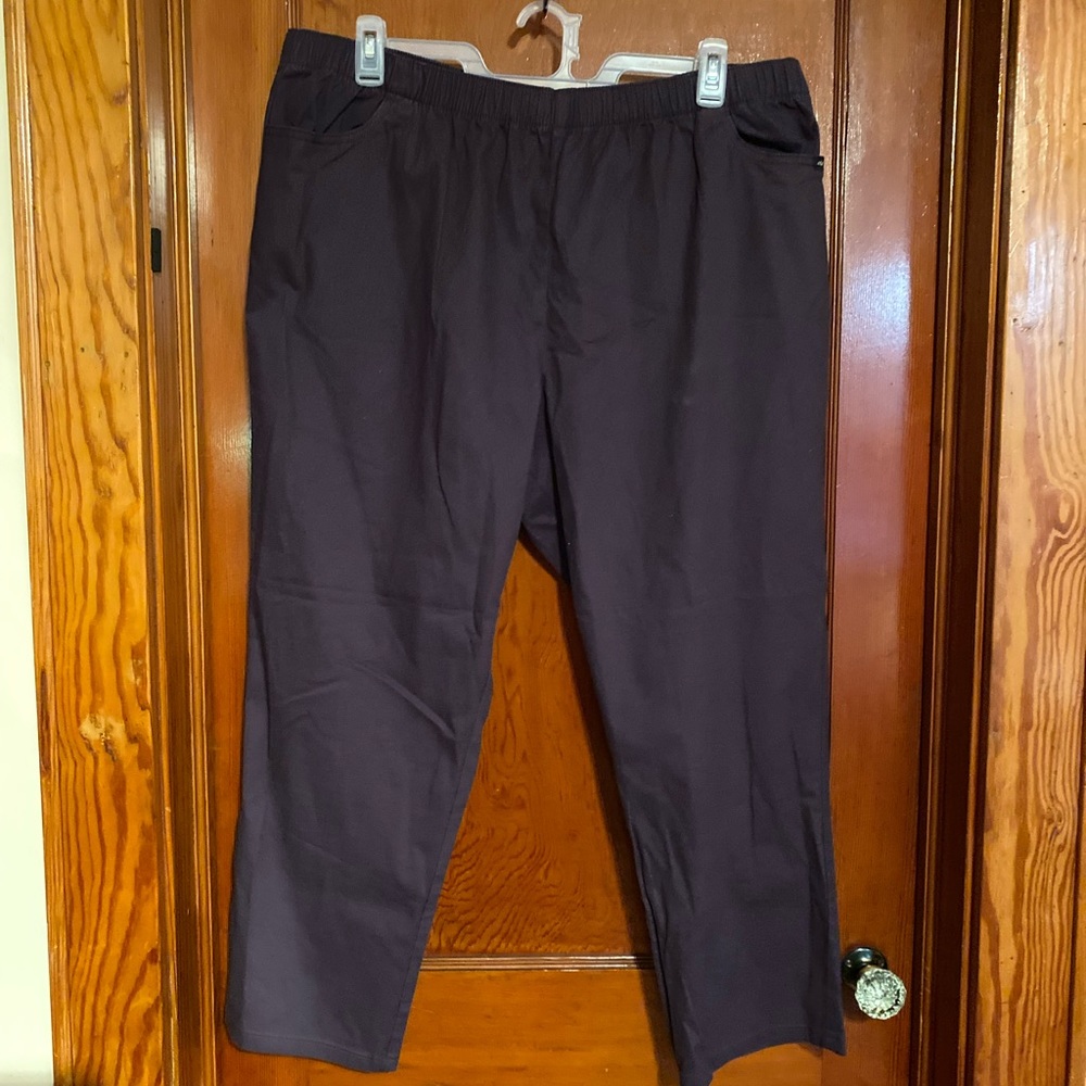 Women’s CHIC Size 26W Plus Petite pants -Eggplant
